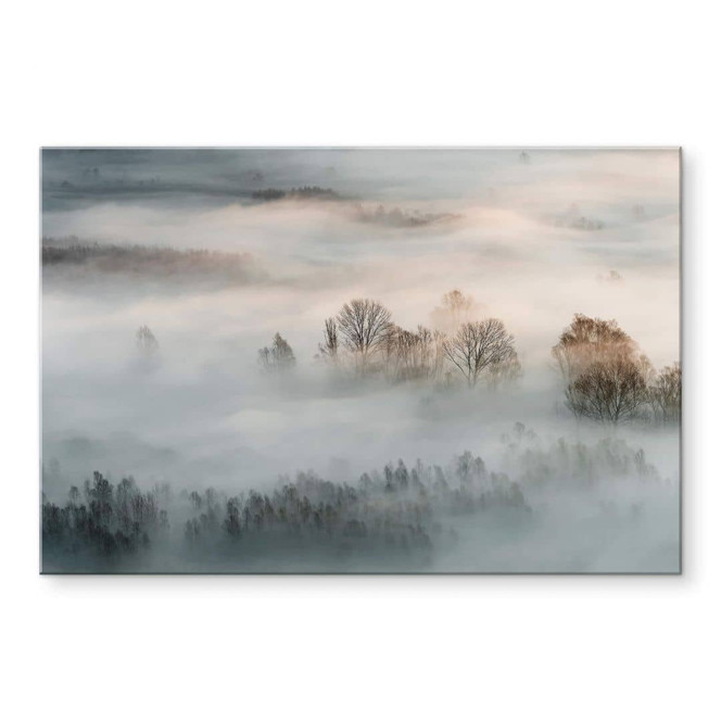 Acrylglasbild Galimberti - Winternebel
