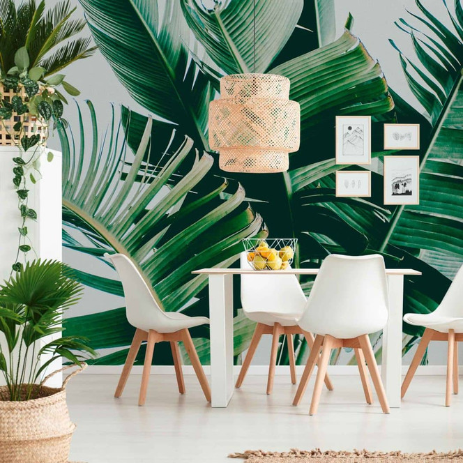 Fototapete Natur PalmFronds1 in grau grün - Vliestapete Designwalls 2 - 2.55x3.5 m