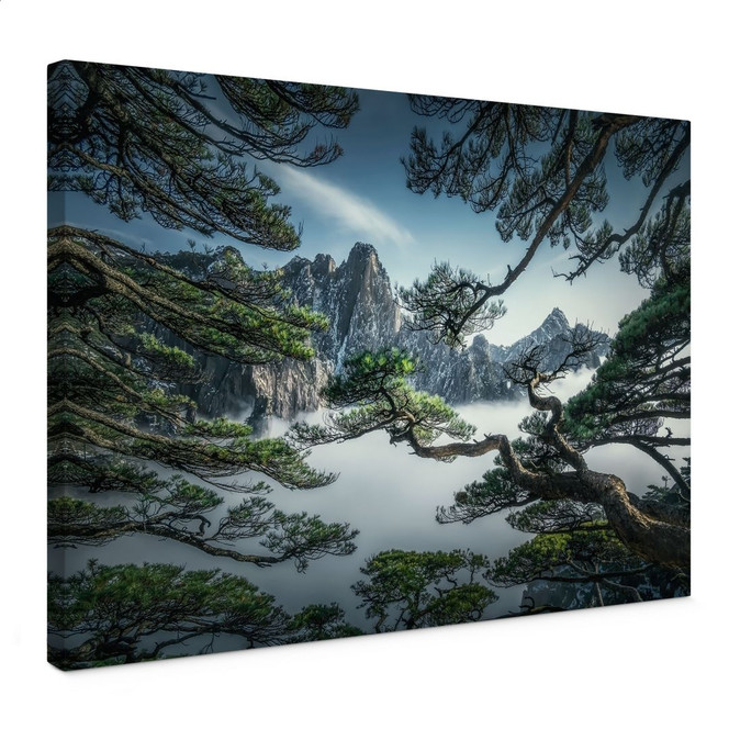 Leinwandbild Kiefernwald im Huang Shan Gebirge - NingYun Ye
