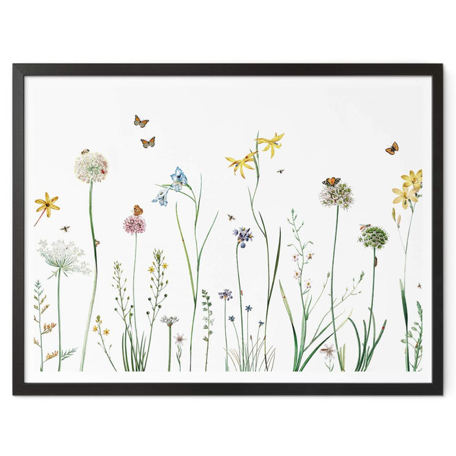 Poster Sir Edward - Schmetterlingswiese