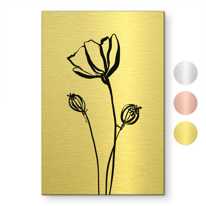 Alu-Dibond gebürstet mit Gold-, Silber- & Kupfereffekt - Line Art Mohnblume - Cats & Dotz