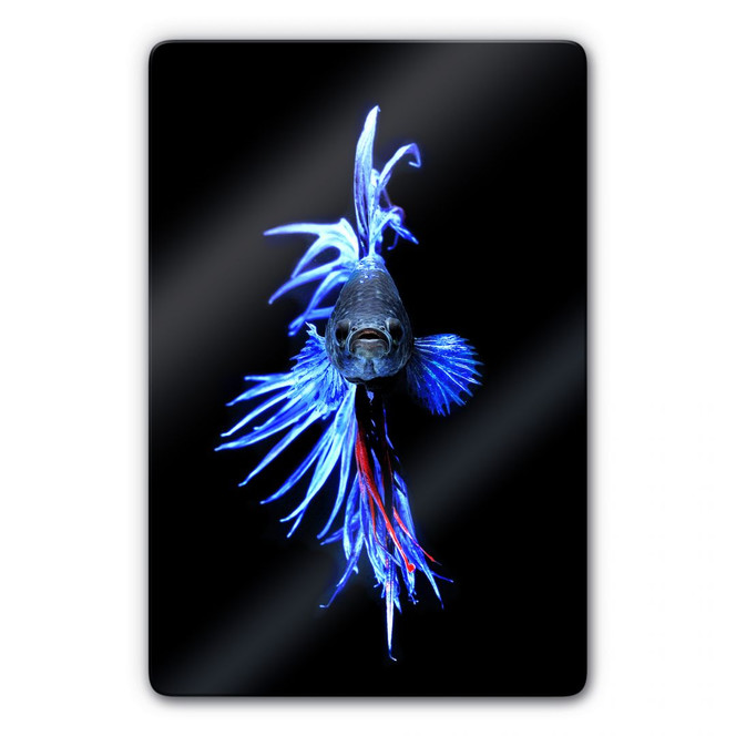 Glasbild Glowfish 1