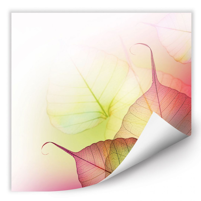 Wallprint Pink Design