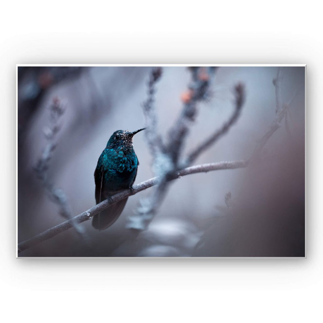 Wandbild Bravien - Electrical Blue