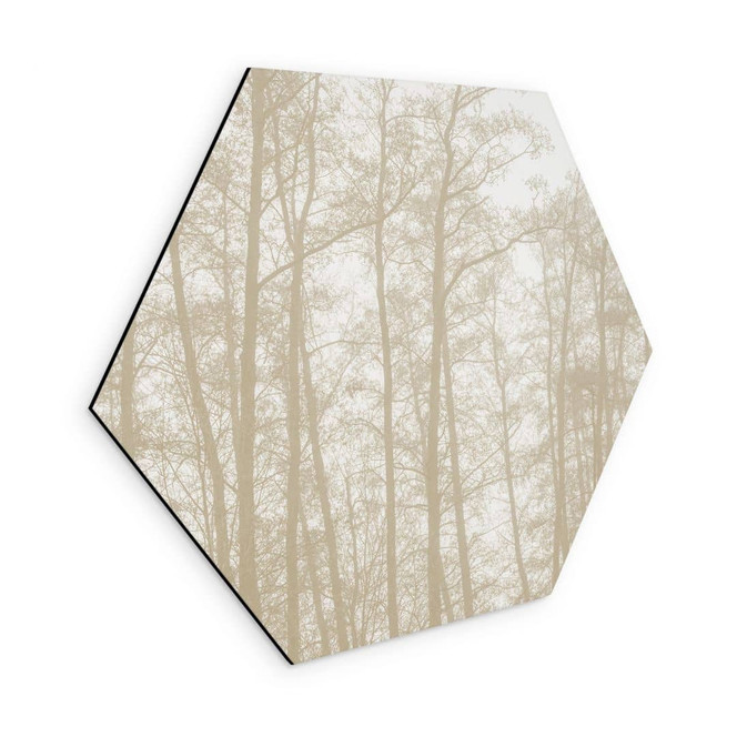 Hexagon Wandbild Stiller Winterwald - Böhmer - Alu-Dibond