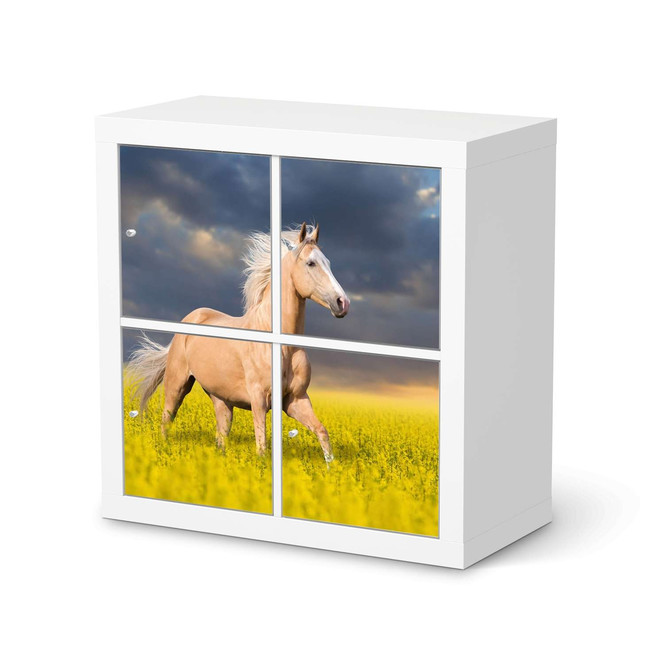 Klebefolie IKEA Kallax Regal 4 Türen - Wildpferd- Bild 1