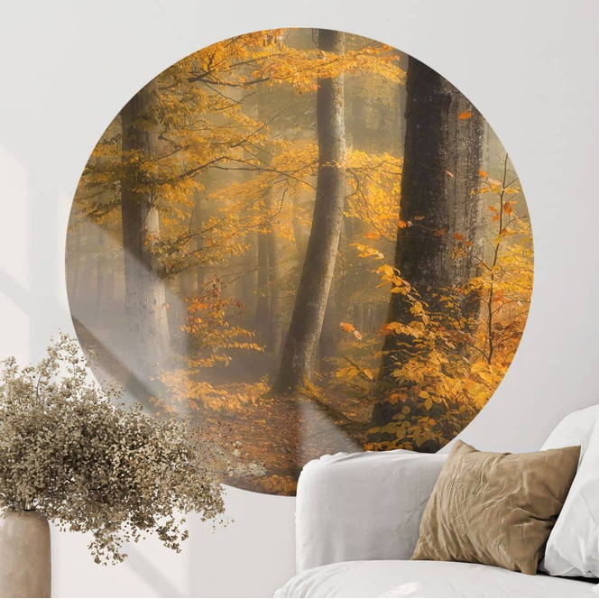 Wandtattoo Goldene Blätter im nebligen Wald - Maier - Rund