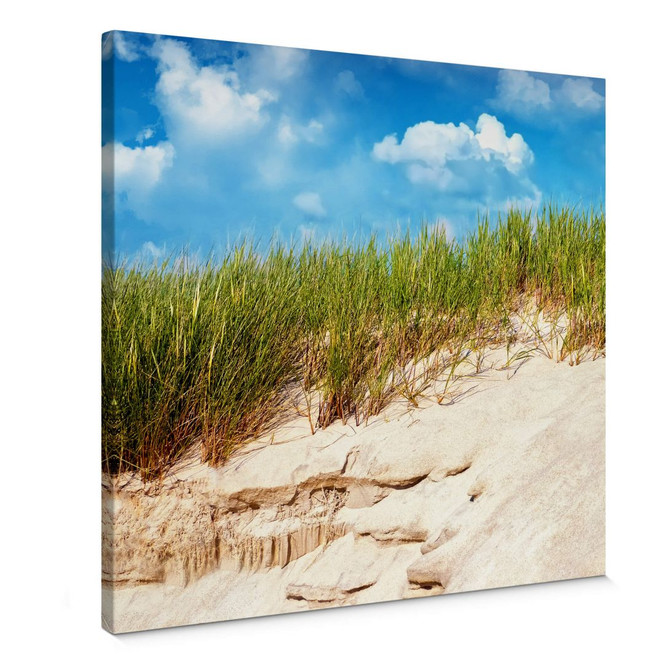 Leinwandbild Ostsee Dünenlandschaft