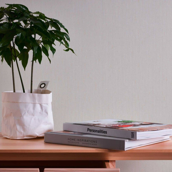 Unitapete Streifen-Optik Grau Beige - Tapete gestreift - Einfarbige Vliestapete