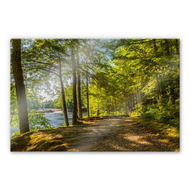 Acrylglasbild Waldweg am Fluss