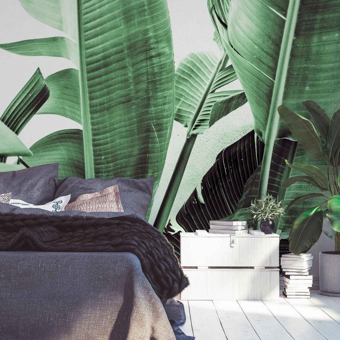 Fototapete Natur PalmFronds2 in grün weiss - Vliestapete Designwalls 2 - 2.55x3.5 m