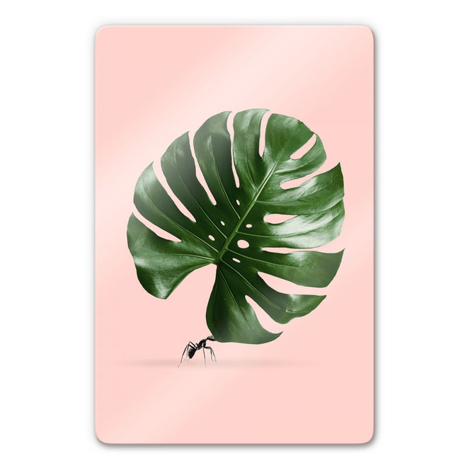 Glasbild Loose - Monstera Ant