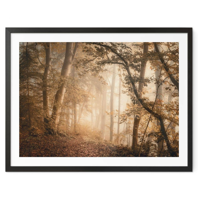 Poster Wald im morgendlichen Nebel - Maier