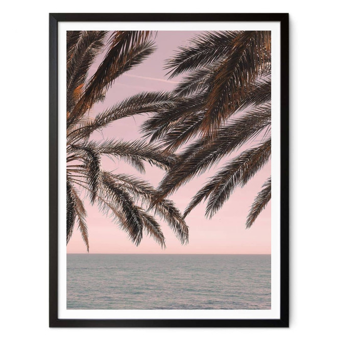 Poster 1X Studio - Palmen