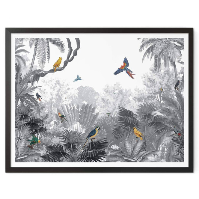 Poster Kikki Belle - Tropische Vögel schwarz-weiss