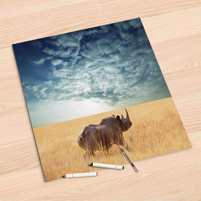 Folienbogen (60x60cm) - Rhino- Bild 1
