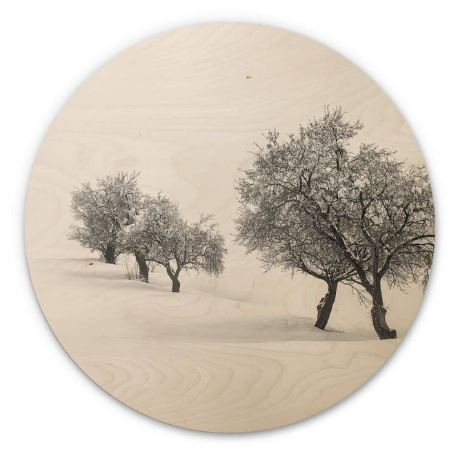 Holzbild Carrillo Lopez - Weisse Landschaft - Rund