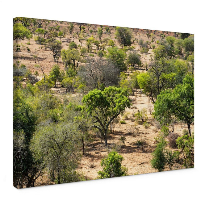 Leinwandbild Savannenlandschaft in Afrika - Hugonnard