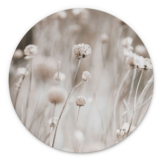Wandbild Getrocknete Blüten in sanften Tönen - Annie - Alu-Dibond Rund
