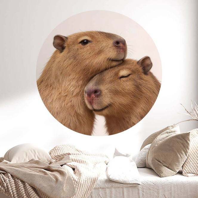 Wandtattoo Kuschelndes Capybara-Pärchen - Rund