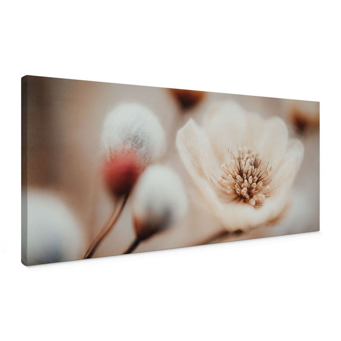 Blumen Leinwandbild Boho Blüte Soft Beige - Treechild - Panorama