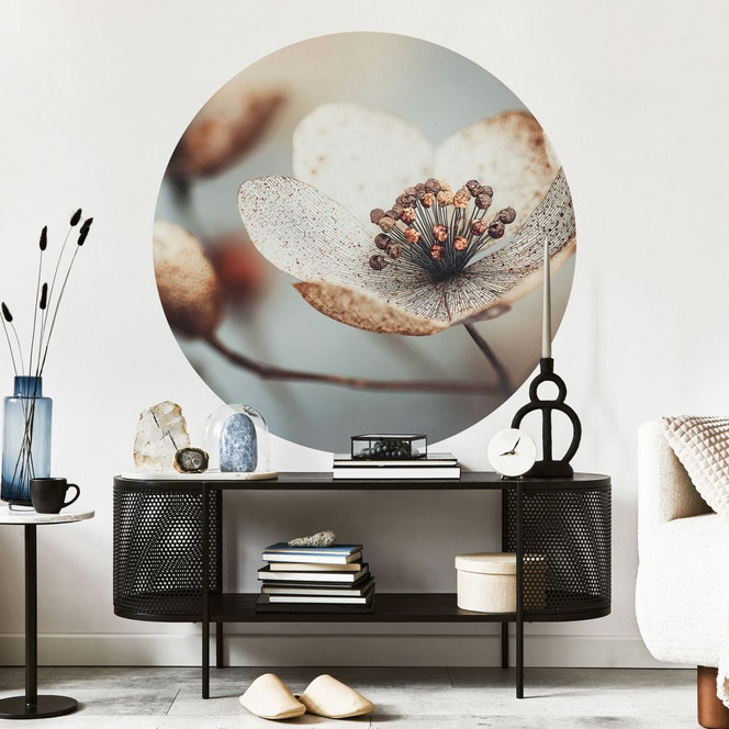 Blumen Wandtattoo Boho Trockenblume Makro - Treechild - Rund