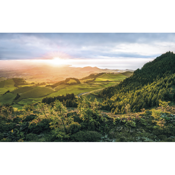 Fototapete Paradise Island