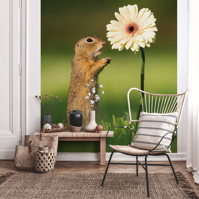 Fototapete van Duijn - Erdhörnchen mit Gerbera
