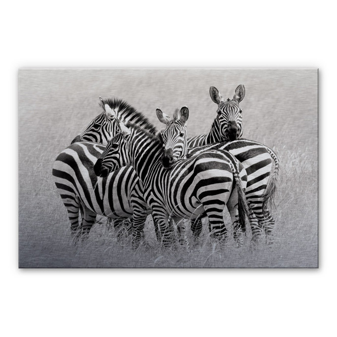 Alu-Dibond Bild Trubitsyn - Zebras in der Savanne - Bild 1