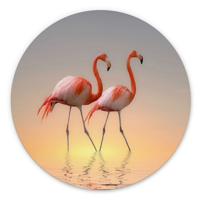 Wandbild Cseresnjes - Flamingos im Abendlicht - Alu-Dibond Rund