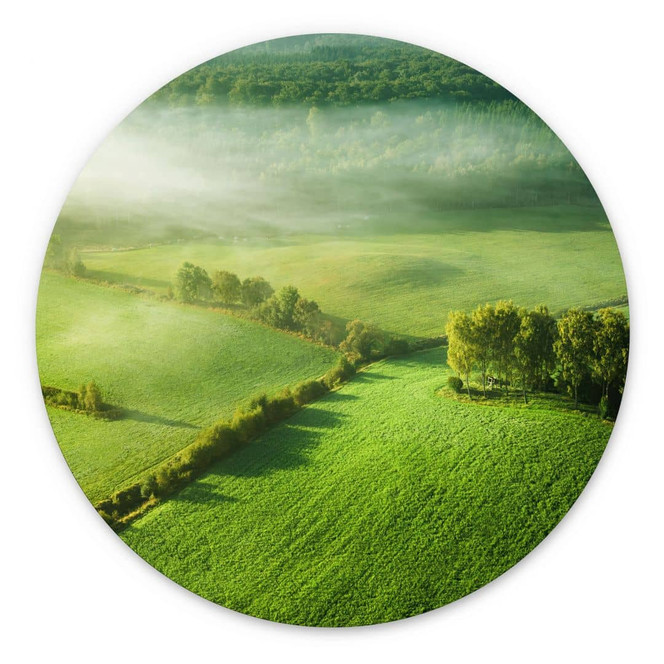 Wandbild Idyllische Felder im Nebel - Keller - Alu-Dibond Rund