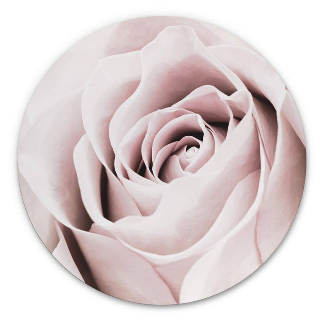 Alu-Dibond 1X Studio - Edelrose - Rund