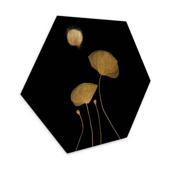 Hexagon - Alu-Dibond Kubistika - Mondschein Tänzer