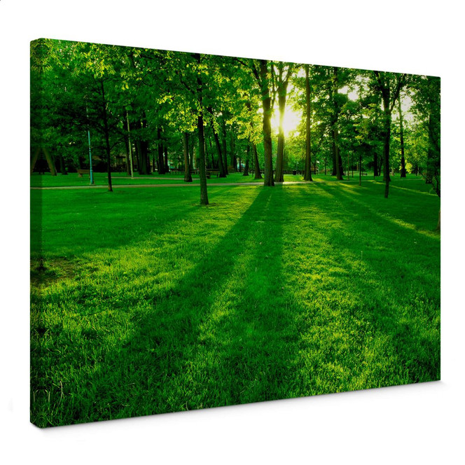Leinwandbild Park im Grünen