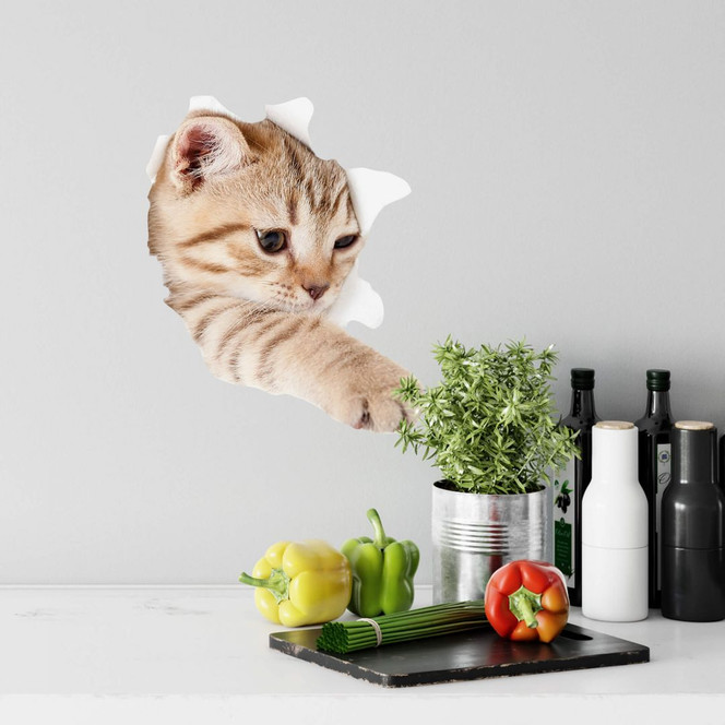 Wandtattoo Kätzchen auf Entdeckungstour