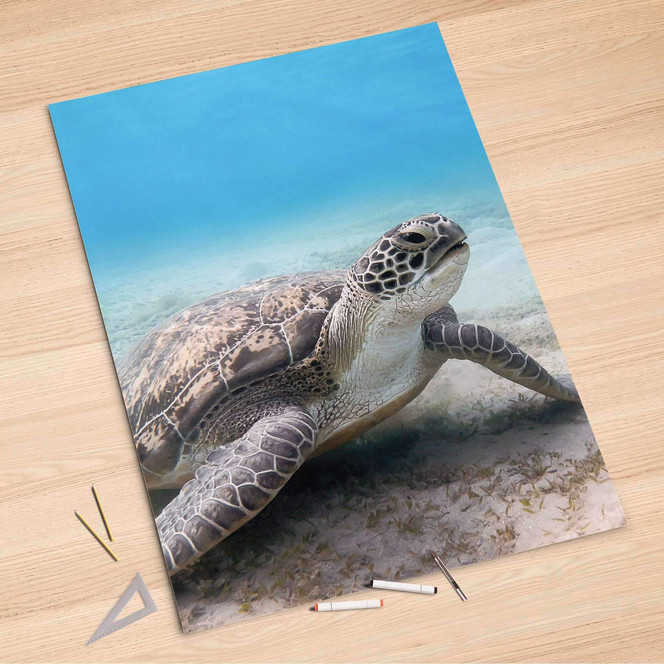 Folienbogen (100x150cm) - Green Sea Turtle- Bild 1