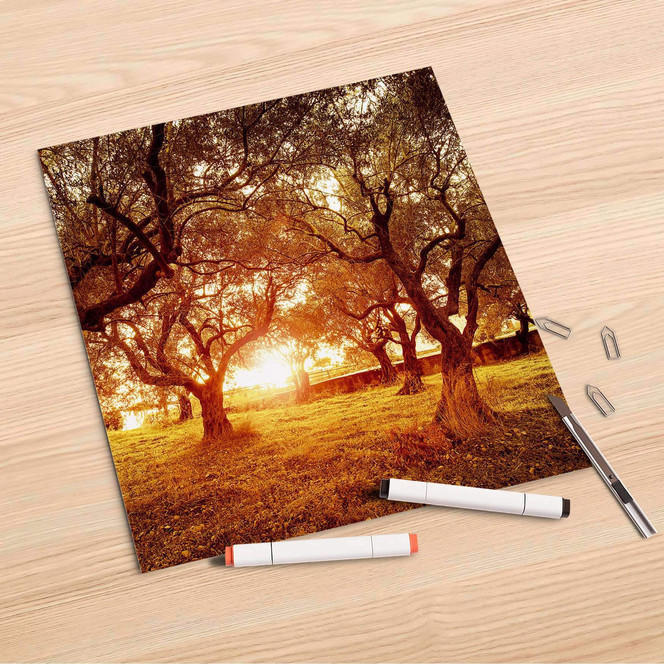 Folienbogen (30x30cm) - Tree Sunlight- Bild 1
