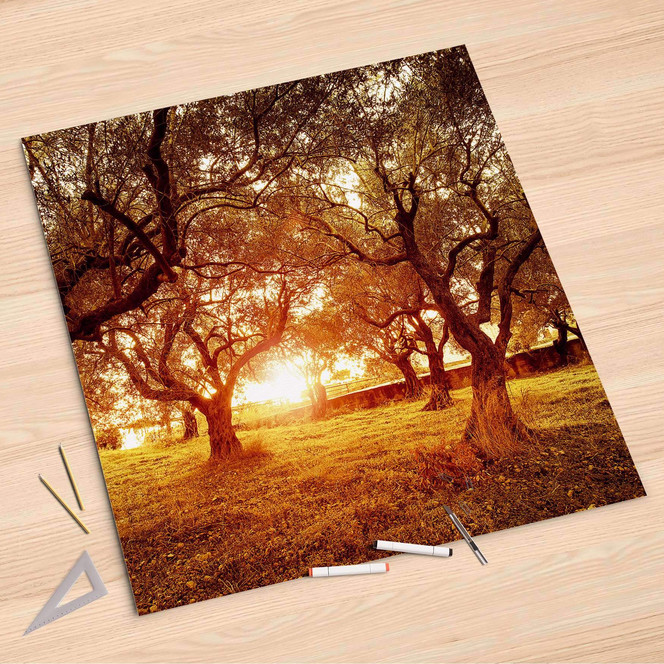Folienbogen (90x90cm) - Tree Sunlight- Bild 1