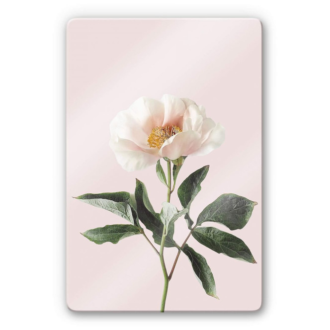 Glasbild Sisi & Seb - Zart