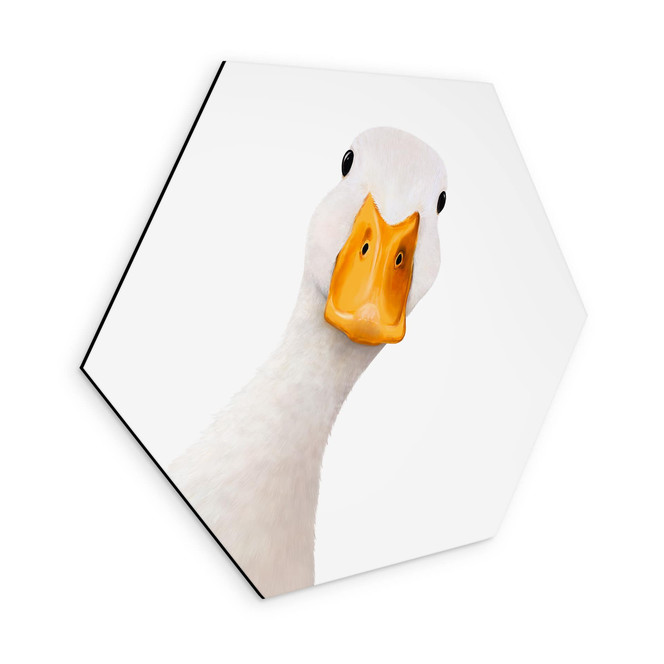 Hexagon Wandbild Neugierige Gans - Korenkova - Alu-Dibond
