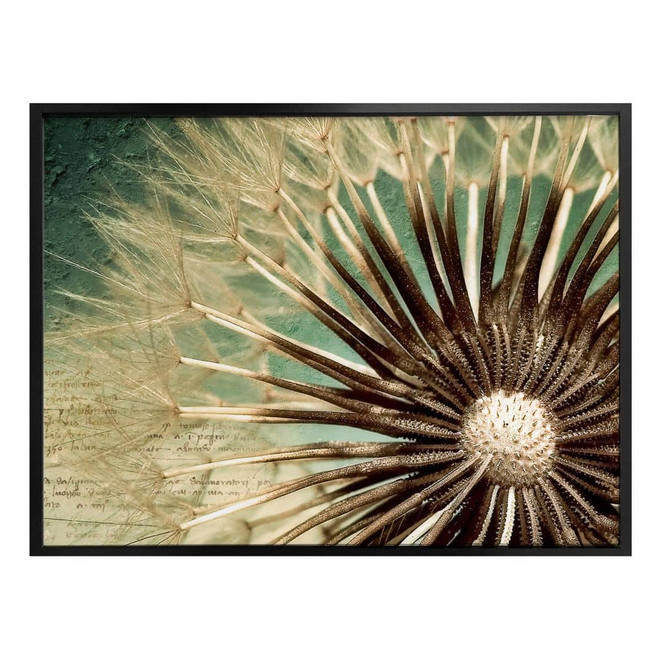 Poster Pusteblumen Poesie