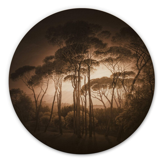 Holzbild Schirmkiefern mit Vignettierung Sepia - Rund