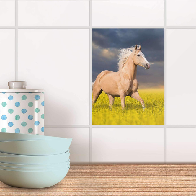 Fliesensticker - Wildpferd