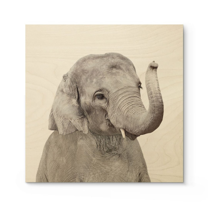 Holzbild Baby Elefant - Sisi & Seb - Quadratisch