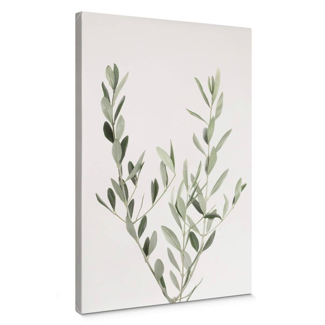 Leinwandbild Sisi & Seb - Olivenzweig