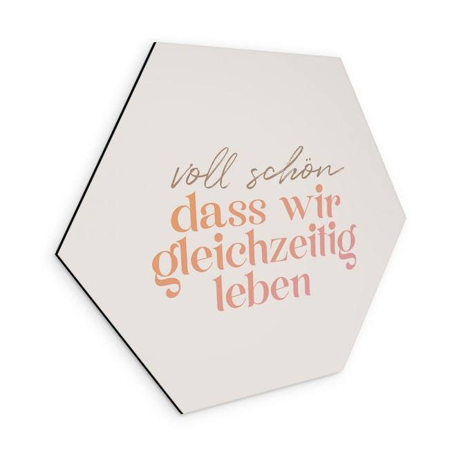 Hexagon Wandbild Voll schön, dass wir gleichzeitig leben - Alu-Dibond