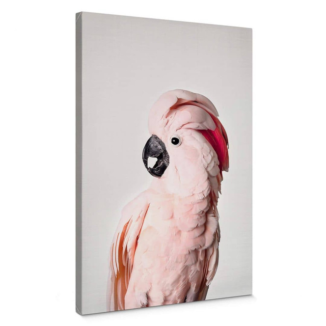 Leinwandbild Sisi & Seb - Rosa Kakadu
