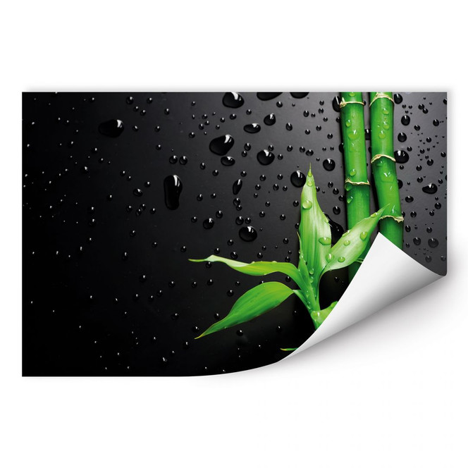 Wallprint Bamboo Over Black