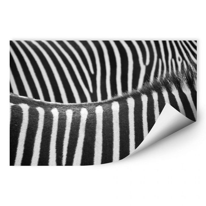 Wallprint Zebramuster