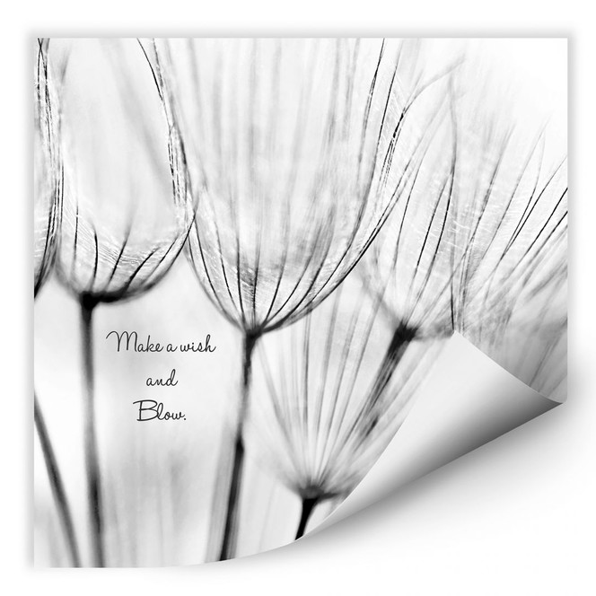 Wallprint Make a Wish...